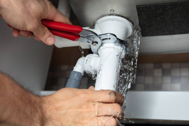 Best Mold removal after water damage  in Egon City, OR