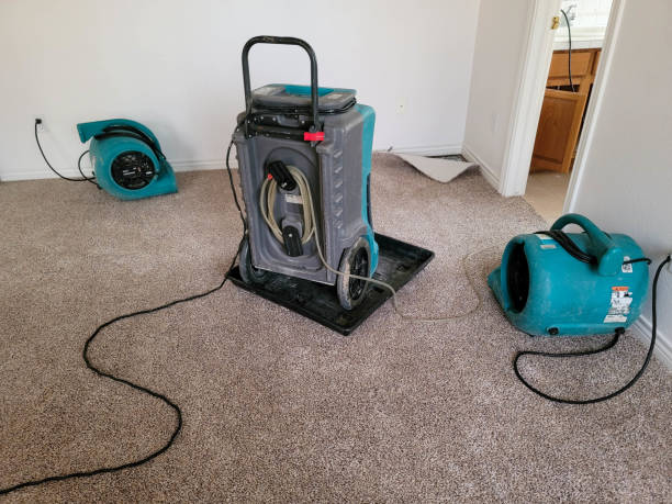 Best Basement water damage restoration  in Egon City, OR