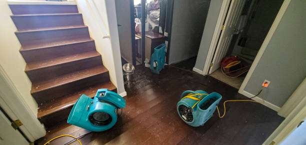 Best Water damage cleanup near me  in Egon City, OR
