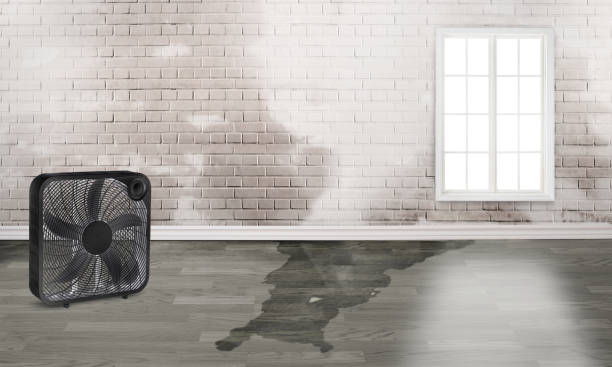 Carpet water damage restoration in Oregon City, OR