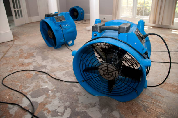 Best Flooded house restoration  in Egon City, OR