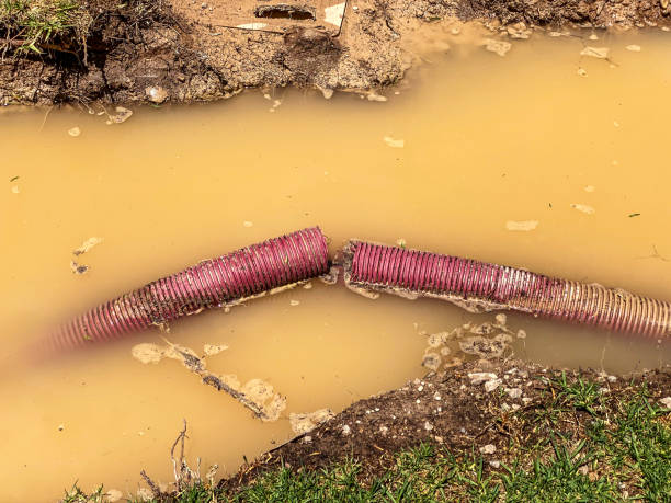 Water damage restoration mold remediation in Oregon City, OR